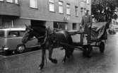 Hästar i stan, 8 juli 1965.

Man kör häst och vagn.
