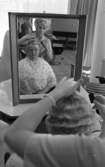 Frisörskan 2 september 1965

En äldre dam sitter på en stol inne i en salong. Hon har ett skyddsförkläde på sig. Bakom henne står en hårfrisörskeelev som är i färd med att kamma den äldre damens hår. Bilden är tagen genom spegeln som står framför dem. Fotografens arm skymtar i spegeln. En frisörstol syns även i spegeln.
