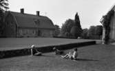 Hasselfors bruk 19 augusti 1965

I förgrunden sitter tre barn på en gräsmatta. I bakgrunden syns ett hus på Hasselfors bruk. Bakom barnen löper en häck.