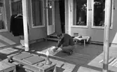 Hasselfors bruk 19 augusti 1965

En liten flickbaby som på huvudet har en liten hätta samt är klädd i liten blus och underbyxor ligger på en veranda vid ett hus vid Hasselfors bruk. Hon ligger på mage. Bredvid henne sitter en äldre man på huk och klappar henne på vänster axel med sin högra hand. Till vänster invid vägen står en dockvagn. Över denna hänger en ställning med två herrkavajer på galgar. I förgrunden står två bänkar. På den ena ligger leksaker samt två stolsdynor. I bakgrunden syns ett litet bord med duk på. Vi sidan om bordet står en liten barnstol. Ovanpå duken står en leksaksbil. Under det lilla bordet ligger en boll. Till vänster i bakgrunden är en öppen dörr som leder in till ett hus med en liten trätrappa framför. Ovanför dörren hänger en ampel med en blomma i. Inne i huset vid fönstret står en kvinna iklädd förkläde och tittar ut genom fönstret.