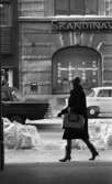 Halkiga pensionärer, 18 december 1965

En kvinnlig pensionär kommer gående på en trottoar en vinterdag. Hon är klädd i ljus hatt med band, mörk kappa, högklackade ljusa stövlar, ljusa handskar samt har lagt en vit väska med handtag över sin vänstra arm. Vid trottoarkanten bakom henne ligger uppskottade snövallar. På gatan syns två bilar. På andra sidan gatan ligger 