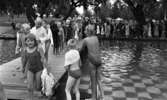 Simpromotion, 20 augusti 1965

Barnen står i kö i en lång rad på bryggan vid simskoleavslutningen i Gustavsvik. De huttrar och många har badrock på sig.