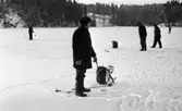 Pimpelfiske i Kilsbergen 11 januari 1965