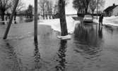 Översvämningen 10 mars 1966

Översvämning bland gator och hus
Vad, Täby socken, Örebro kommun