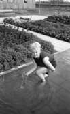 Hyr brallis 29 maj 1965

Fotomodell sitter i plaskdam på taket till Krämaren