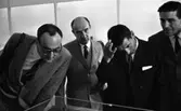 Vinet skall, 3 augusti 1965

italienska utställningen i Medborgarhuset med bl. a. landshövdingen Valter Åman och Viterbos borgmästare Luigi Crescia. Här beses en utställning i Länsmuseet.