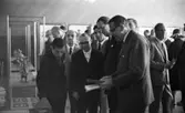 Vinet skall, 3 augusti 1965.

Italienska utställningen i Medborgarhuset med bl. a. landshövdingen Valter Åman och Viterbos borgmästare Luigi Crescia. En samling herrar står i utställningslokalen och beser antika föremål med knytning till vinhantering från gamla Etrurien. Mannen i centrum av bilden visar en bok.