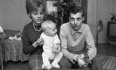 Istappar, Juggar utvisade, Reklam i TV  13 januari 1966

En familj med mor, far och liten baby. En julgran syns i bakgrunden.