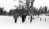 Hästnäs, 20 januari 1966

I förgrunden i mitten av bilden syns det tre flickor som går på skidor i djupare snö. Backom de tre flickorna syns det två ungdomar till som följer efter.