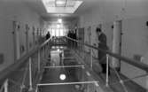 Fängelse, 1 mars 1966

Män står i fängelsekorridor