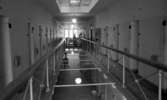 Fängelse, 1 mars 1966

Interiör av fängelsekorridor