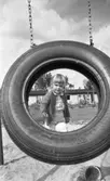 Lekplatserna tråkiga 7 juli 1965

En liten flicka med docka och korg på lekplats. En gunga i förgrunden.