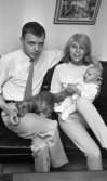 Mjölkande mamma 3 juli 1965

En familj sitter i soffan. Familjen består av en mor, en far och en liten baby. Familjens hund- en tax- ligger i mannens knä.