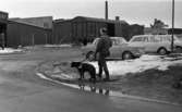 Blind kille 7 april 1966

En blind man är ute och går med sin ledarhund - en svart labrador. I bakgrunden står bilar och en tågvagn parkerade. Längre bort i bakgrunden till höger står en skylt med texten 