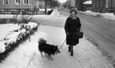 Få rastplatser 14 januari 1966

Dam med hund i koppel, i bakgrunden butiker.
Rosta centrum.