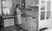 CV-chefens fru Svensson 22 januari 1966

Interiör från högreståndshem, kvinna poserar i kök
