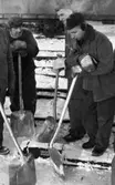 Hallsbergsskottarna 5 januari 1966

Närbild på män i arbetskläder som skottar bort snö från järnvägsräls