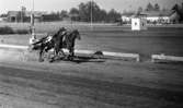 Travet 2 maj 1966

Travhästar, sulkys och kuskar under travtävling