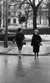 Gå mot rött ljus, 8 mars 1966Kvinnor går över gatan vid trafikljus