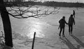 Skridskoåkning på Närkeslätten 11 mars 1966