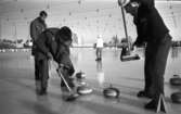 Curling på Vinterstadion, 11 februari 1965.

Män spelar curling.