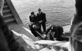 Kille i Svartån, 17 maj 1966

Två polismän håller fast en man och drar upp honom mot kajen. En annan man sitter i en båt och håller tag i kajkanten. Åskådare syns vid sidan om. Trappor som leder upp från kajen syns på bilden.




































































































































































































































































or. Han går nedför en kort trappa utomhus.