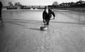 Curling på Vinterstadion, 11 februari 1965.

En man spelar curling.