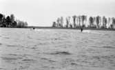 Vattenskidor
17 maj 1966