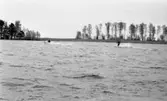 Vattenskidor
17 maj 1966