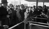 Domus Stormarknad invigning
24 februari 1965