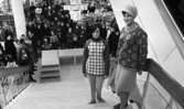 Frisk vecka på Domus, Orakelsvar på EEC från länets lantbrukare, Kommunalrådet Aronsson hemma efter kongressresa 18 februari 1967