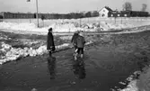 Snömodd och översvämning bland annat i Varberga 1 februari 1966

Kvinna och barn i vattensamling på vintrig gata