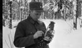 Rycket in i lumpen 8 februari 1966

En soldat håller en lykta i sina händer. Han befinner sig utomhus på en militärövning. Han har en cigarett i munnen. Det ligger snö på marken.