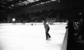 Telefonreportage, Ishockey klar 31 januari 1966

En ishockeydomare åker över isen. I bakgrunden står en ishockeymålvakt. Publik sitter på läktare i bakgrunden.