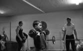 Tyngdlyftarreportage 31 januari 1966 

I förgrunden står en pojke i åttaårsåldern och lyfter en skivstång i axelhöjd inne i en träningslokal. Han sysslar med tyngdlyftning och han är klädd i träningsjacka och shorts. Sex andra pojkar i olika åldrar står i närheten av honom.