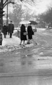 Vårregn, 31 januari 1966

Två damer klädda i mörka kappor, knytskor och handväskor hängamde på armarna samt med paraplyer i händerna är i färd med att gå över en gata i centrala Örebro. Det regnar och ligger även snö på marken. I bakgrunden på trottoaren kommer en man och en kvinna gående. En bil kör på gatan. Byggnader syns i bakgrunden längre bort.