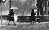 Vårregn, 31 januari 1966

Två damer klädda i mörka kappor, knytskor och handväskor hängamde på armarna samt med paraplyer i händerna går trottoaren fram i centrala Örebro.