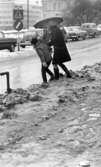 Vårregn, 31 januari 1966

En kvinna klädd i mörk kappa, mörka stövlar och med ett paraply i höger hand håller en flicka i tioårsåldern i vänsterhanden. De försöker klättra över en snövall för att komma över den trafikerade gatan. Flickan är klädd i jacka, långbyxor, vantar skor och har en mössa på huvudet. Byggnader syns i bakgrunden.