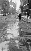 Vårregn, 31 januari 1966

På en gata med byggnader runtomkring kommer en äldre dam gående med paraplyet uppfällt över sig. Bilar står parkerade vid trottoaren till vänster. Det regnar och det ligger snö på marken.