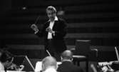 Cellibedache 13 juni 1966

En dirigent klädd i vit skjorta och svart kavaj viftar med taktpinnen framför en orkester. Framför honom sitter musiker och spelar.
