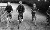 Cyklar farliga, 28 maj 1966

Fyra småpojkar klädda i jackor, byxor och skor cyklar. I bakgrunden syns gungor.
