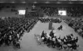 Blåsarträffen 28 maj 1966

En skor skara blåsinstrumentsmusiker sitter samlade i en stor sal. Publik sitter på läktare i bakgrunden. Ett podium står i mitten av salen.
