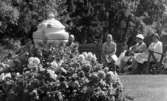 Loka brunn 2 22 juli 1966

Fyra äldre damer och en äldre herre sitter utomhus på bänkar och stolar i kurorten Loka brunn. I förgrunden syns blommor och en stor jättelik kruka.
