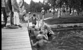 Simskoleavslutning 24 augusti 1966

Gustavsviksbadet