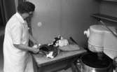 Loka brunn 22 juli 1966

En äldre kvinna i vit arbetsrock står vid en arbetsbänk och sysslar med något. En maskin står till höger.