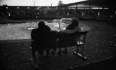 Natt 702, 12 juni 1967

Det är natt och två förälskade par sitter och håller om varandra på en parkbänk i Brunnsparken. De sitter i närheten av fontänen. I bakgrunden syns byggnaden och utomhusdansarenan samt en massa människor.