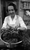 Kräftor 9 augusti 1967

En kvinna klädd i vit arbetsrock och randigt förkläde står inne i ett kök med en stor skål fylld med kräftor och dill framför sig på bordet.