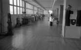 Kembels slutar, Blå stjärnan, 8 juli 1967

Två kvinnor och två män står på golvet i inne i en fabrik där skotillverkning sker. De två männen och en av kvinnorna är klädda i vita arbetskläder. Den andra kvinnan är klädd i mörk, långärmad tröja, ljus knäkort kjol och mörka träskor. Maskiner står utplacerade i lokalen.
