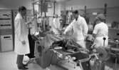 Lasarettet 14 juni 1967

En läkare klädd i vit läkarrock, vit skjorta, mörk slips, svarta byxor och svarta skor står invid en stor medicinsk undersökningsapparat som är riktad mot en kvinnas mage. Hon ligger på en operationssäng under apparaten. Till höger syns en till arbetsklädd läkare. Två kvinnor -sjuksystrar- står också runt kvinnan och är klädda i vita kläder. En av dem bär en operationsmössa på huvudet. Den andra sjuksystern bär munskydd.
