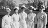 Vårdassistenter, 13 maj 1967
Nyutexameninerade sjuksköterskor på RSÖ (Regionsjukhuset Örebro).